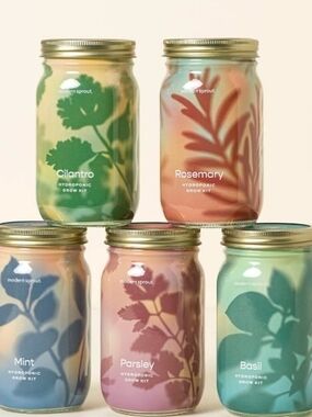 Mason Jar At Home Hydroponic Grow Kit Come With Jar, Seeds, Dirt & Instructions